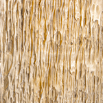 Декор Wall Object Grove арт.113707