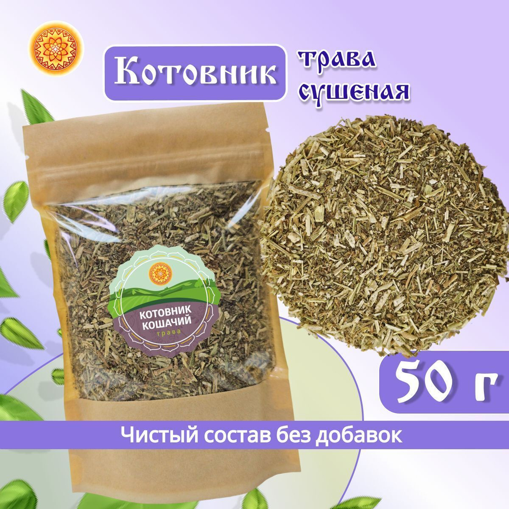 Котовник (трава)