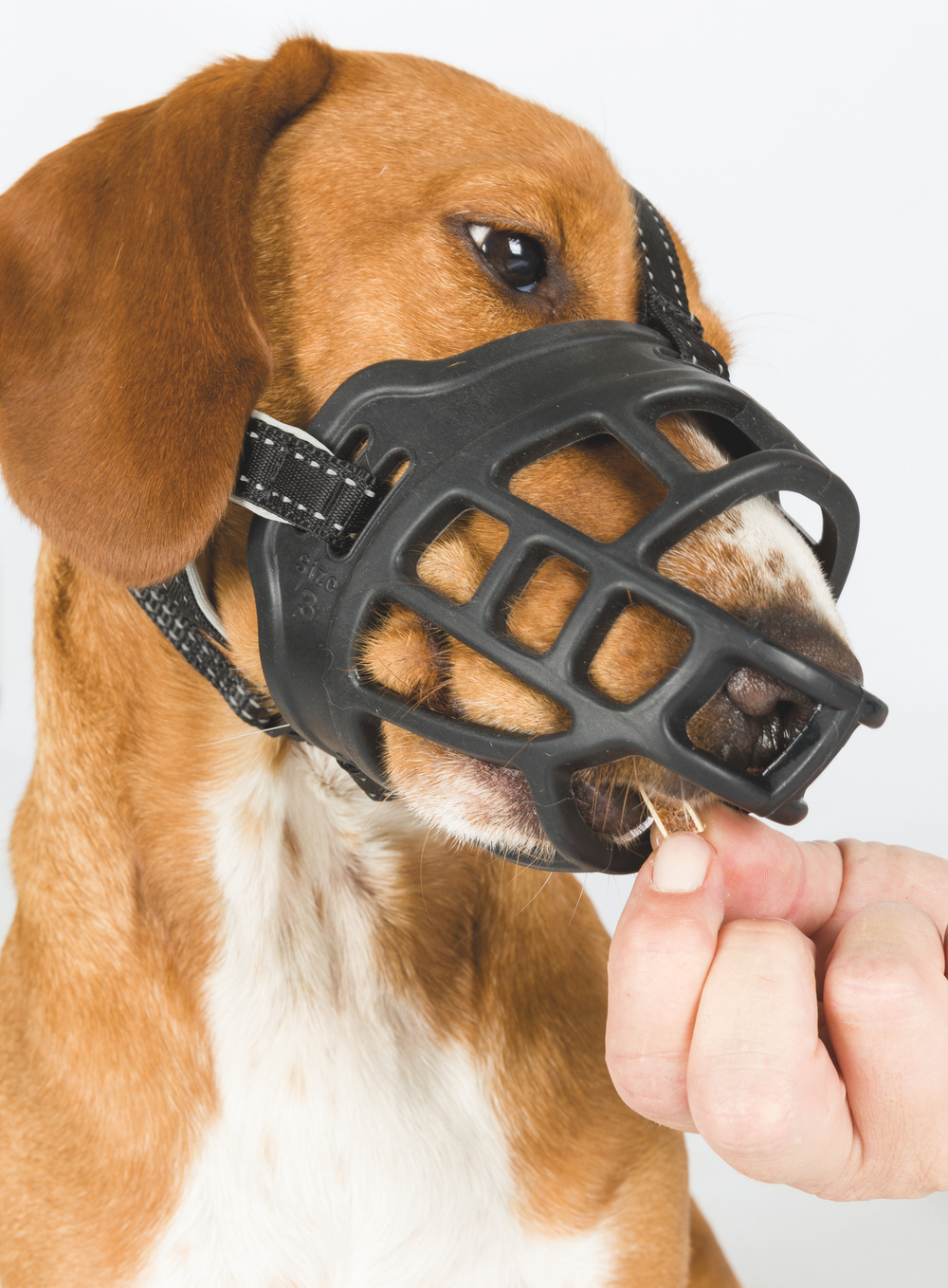 Намордник Muzzle Flex, резина, M–L (27 см, длина лобного ремня до 20 см), чёрный, Trixie