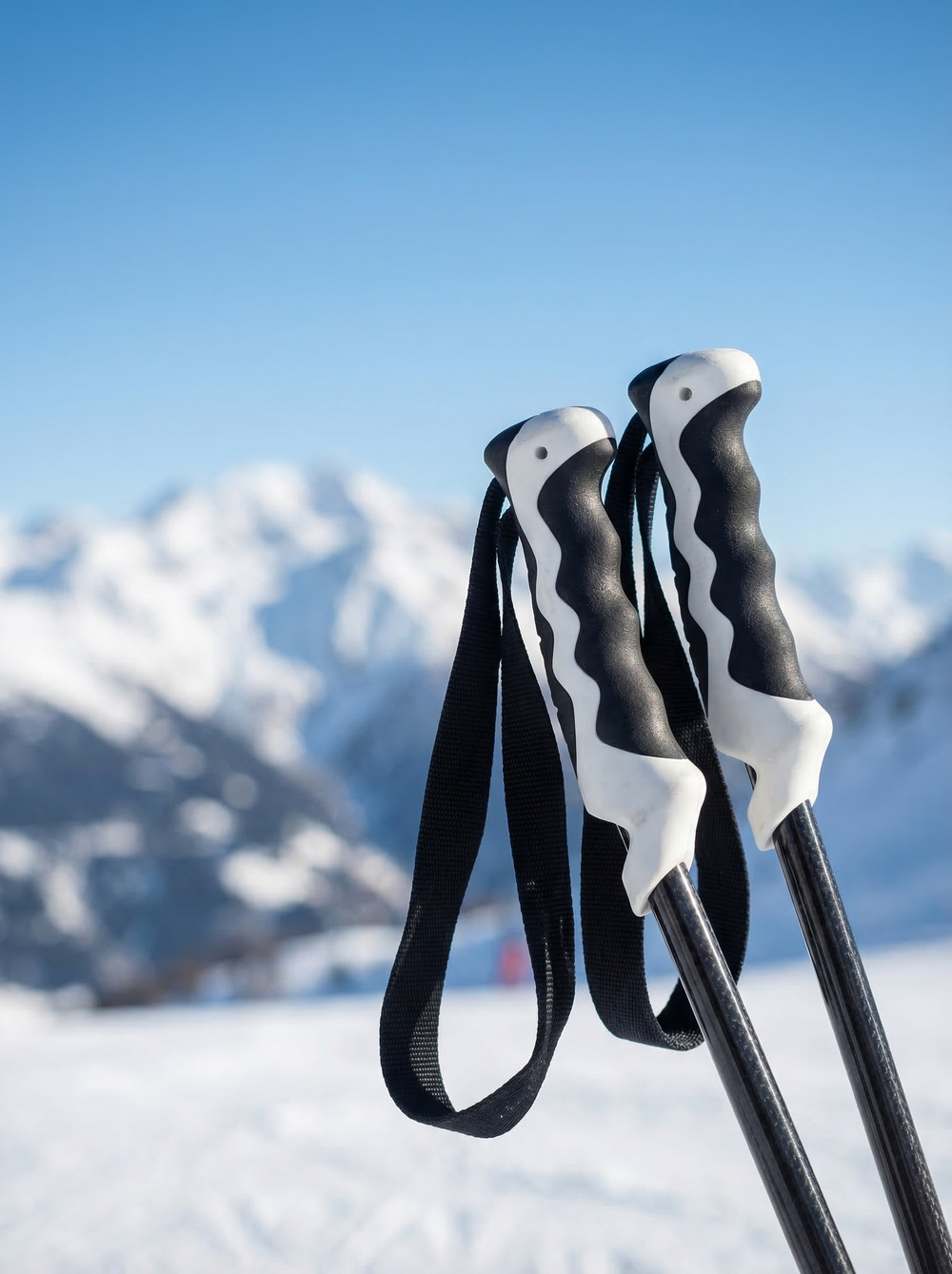 Палки горнолыжные Komperdell Rental Carbon