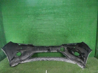 DSCN7174.JPG