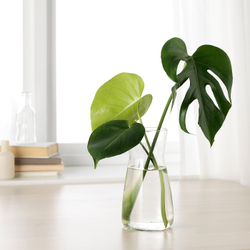 IKEA KARAFF (ИКЕА КАРАФФ) — Графин, прозрачное стекло, 1,0 л, фото 3