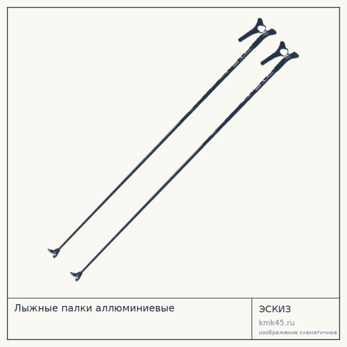 Лыжные палки аллюминиевые — от 1 100 ₽