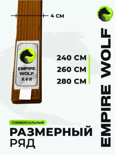 Коричневый пояс для единоборств 240