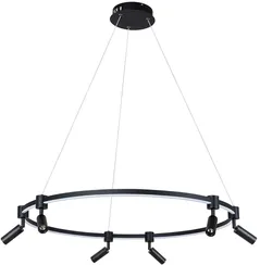 Подвесной светильник Ring A2186SP-1BK Arte Lamp