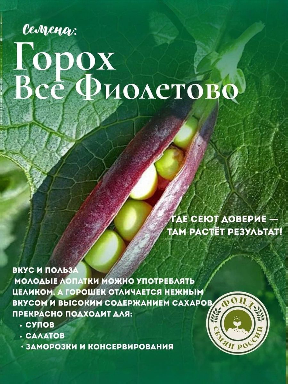 Горох Овощной, Все фиолетово, семена, 10 гр.
