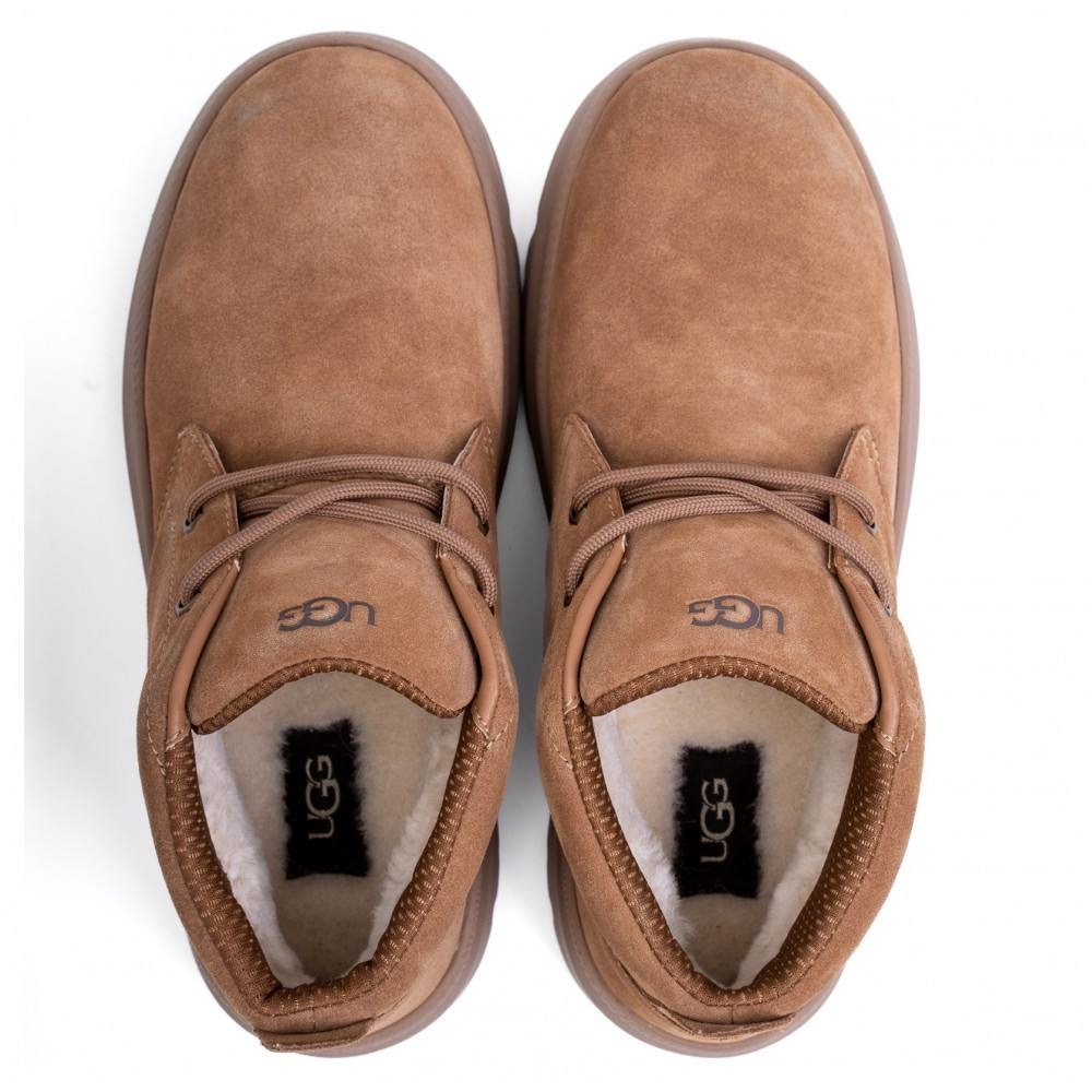 Ugg Mens Burleigh Chukka Chestnut