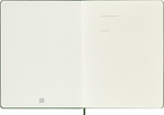 Блокнот в точку Moleskine CLASSIC XLarge (QP093K15) 19х25 см, твердая обложка, зеленый