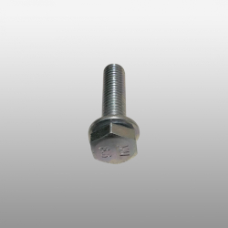 0636.100.413 - Болт M10*40*1,5