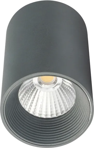 Точечный светильник 20003 20003SMU/01LED SGY Escada