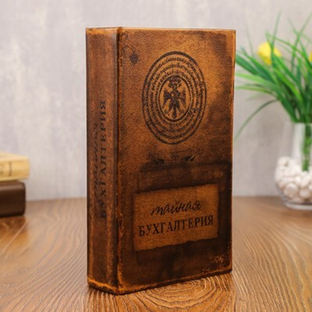 Книга сейф Тайная бухгалтерия