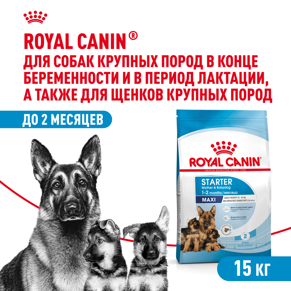 Royal Canin Maxi Starter Макси Стартер мазэ энд бэбидог Корм для щенков крупных пород до 2-х месяцев беременных и кормящих собак 15кг