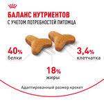 Royal Canin Bengal Adult Бенгал эдалт Корм сухой для взрослых бенгальских кошек старше 12 месяцев 2кг