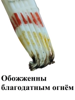 Свечи Иерусалимские белые 24 см факел из 33 шт.