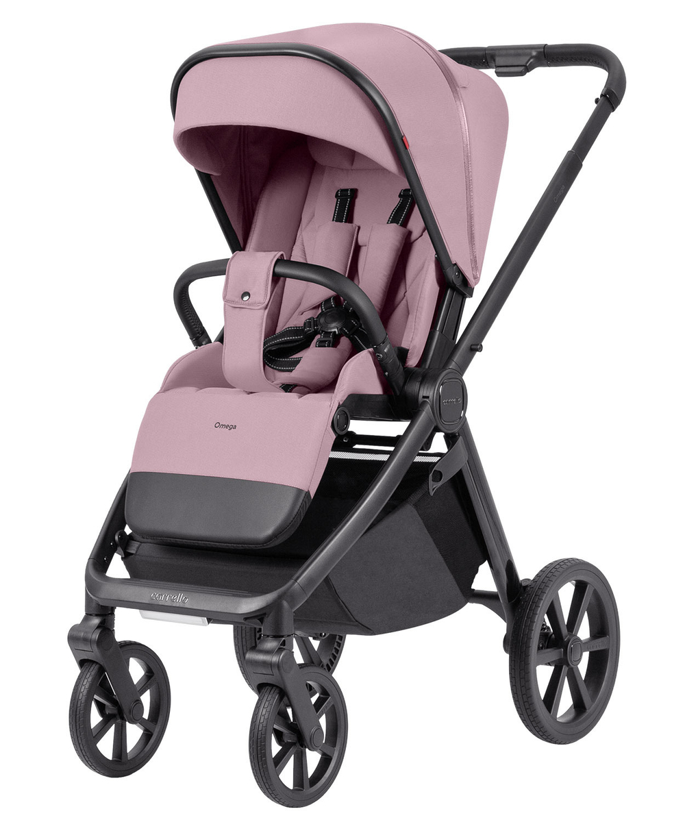 Коляска 2 в 1 Carrello Omega+ CRL-6540/1