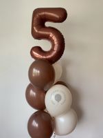 Воздушные шары на 5 лет №8571