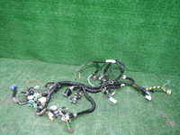 DSCN2255.JPG