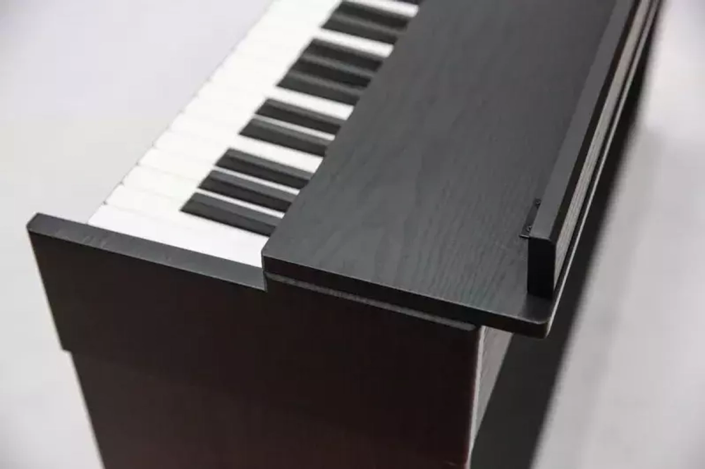 Pierre Cesar DP-12-H