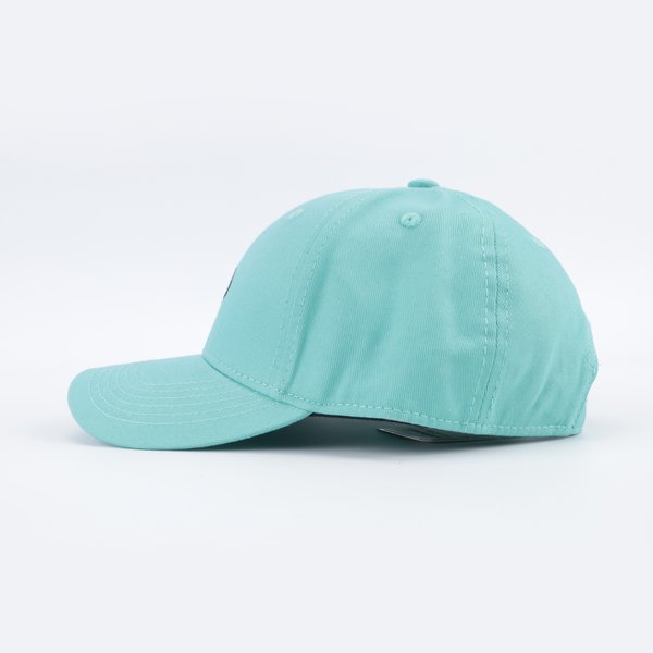 Кепка Anteater Baseball (mint) артикул: - купить в магазине Дайс