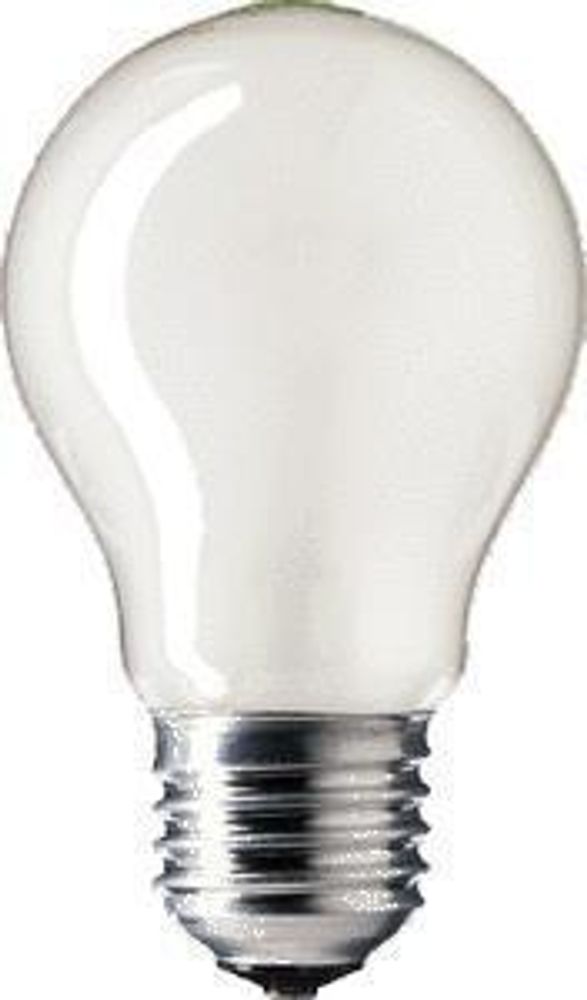 Лампа галогенная Navigator NH-A55-73-230-E27-FR матовая