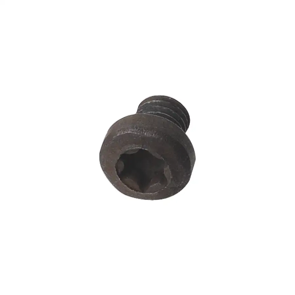 Винт TORX M4x6 CMT 990.075.00