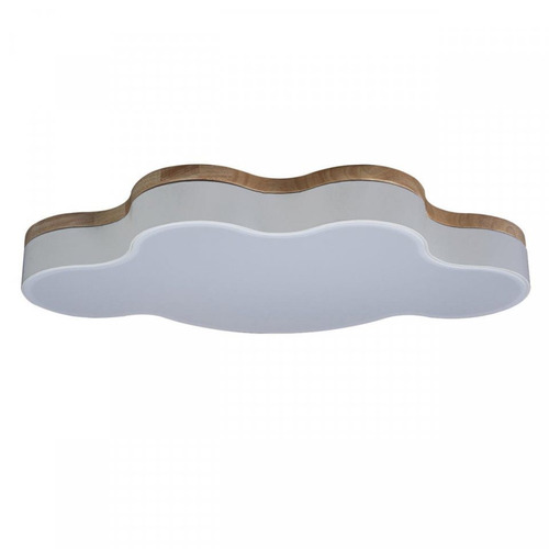 Потолочный светодиодный светильник Loft It Axel 10005/36 White