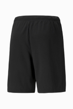 Шорты Puma teamRISE