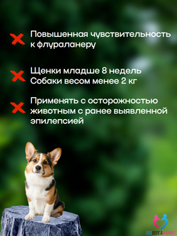 ВЕПРИПАК 1000 мг - таблетки от блох и клещей для собак крупных пород 20-40 кг,1 таблетка