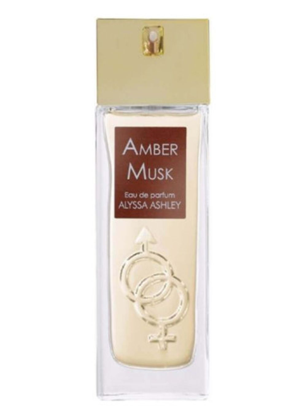 Alyssa Ashley Amber Musk