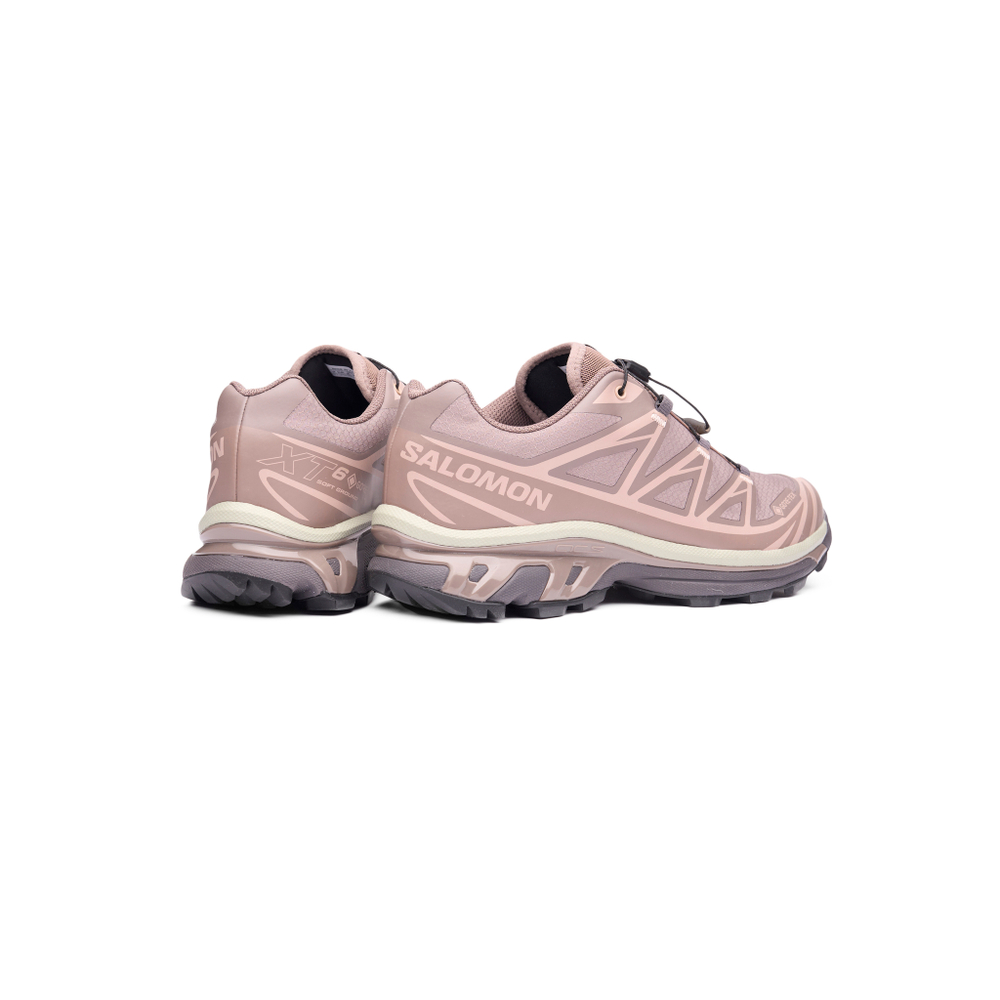Кроссовки Salomon XT-6 Gore-Tex "Iron Etherea"