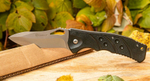 Нож складной туристический Ganzo G619