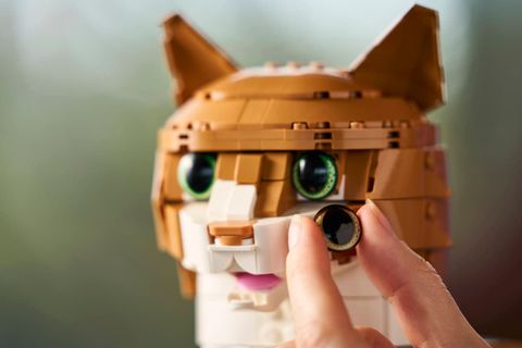 Конструктор LEGO Ideas 21376 Orange Cat