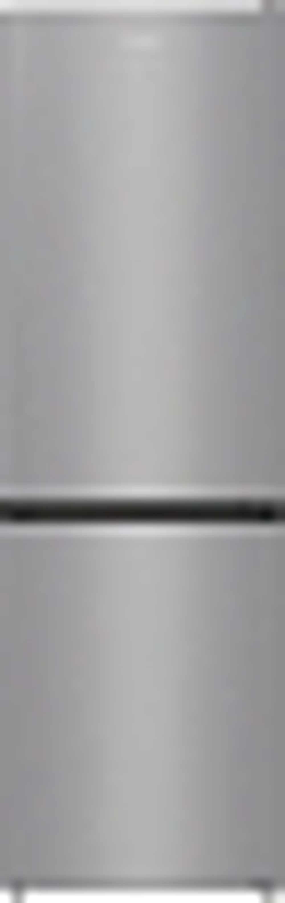 Отдельностоящий холодильник Gorenje RK6191ES4