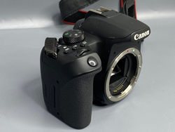 Canon EOS 850D — 13 800 кадров