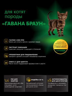 Корм сухой для котят породы Гавана браун, с ягненком, 2кг, QUATTRO