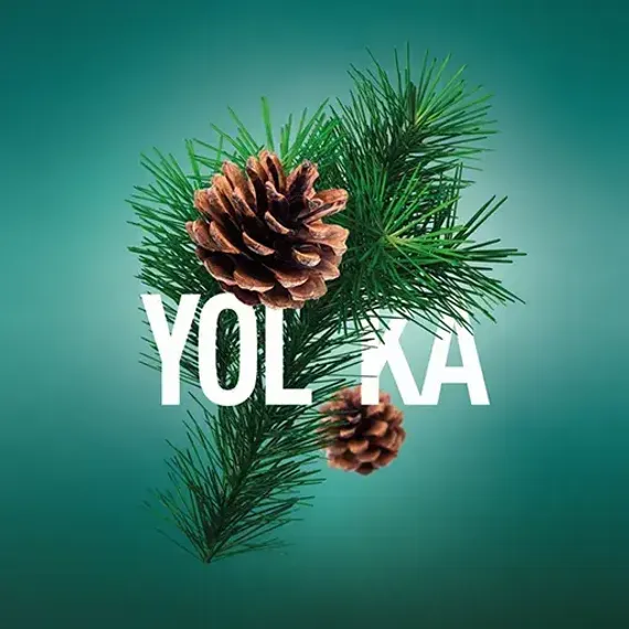 Must Have - Yolka (125г)