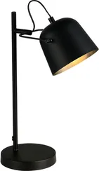 Интерьерная настольная лампа Blank SLE1805-404-01 Evoluce