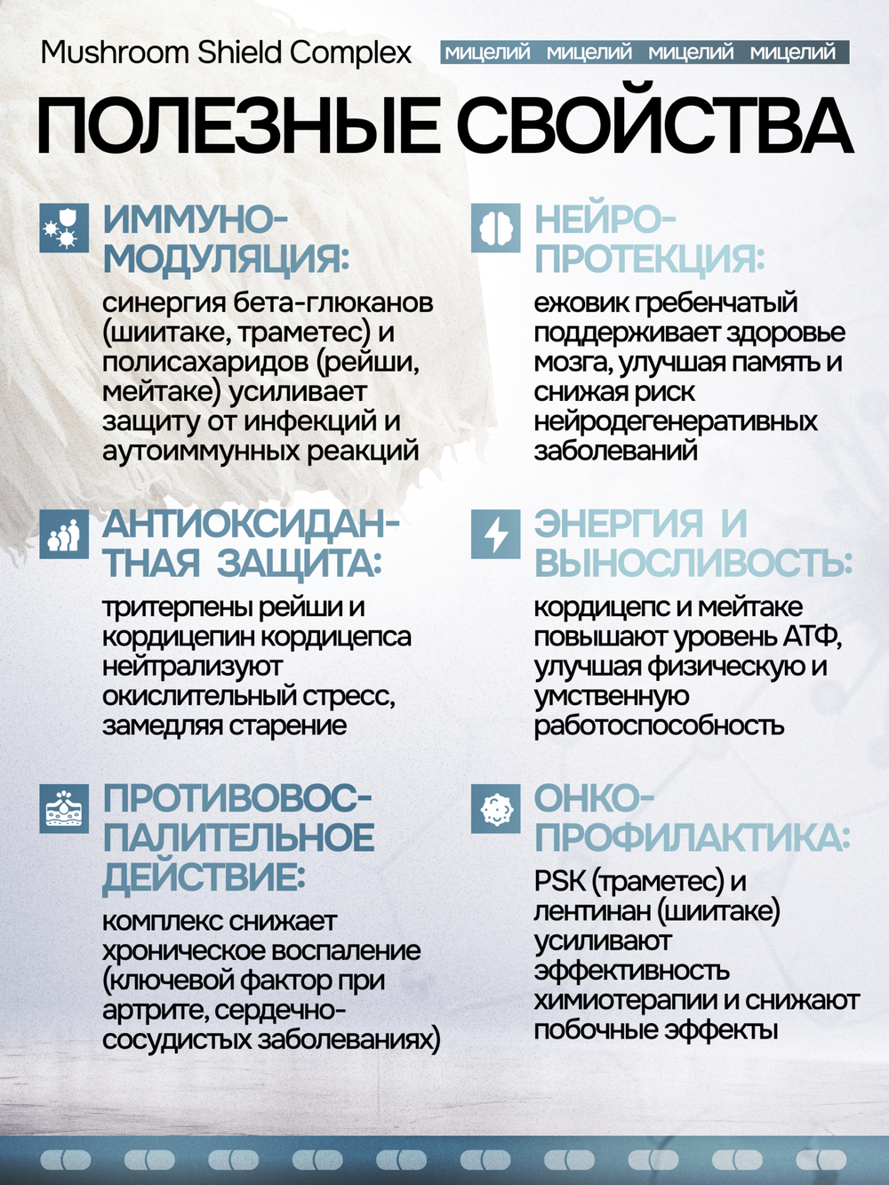Грибной щит 120 капсул