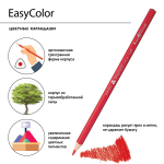 Карандаши 24 цв. "EasyColor" (Bruno Visconti)