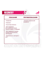 Ветеринарная диета Monge VetSolution Cat Recovery (Монж Рекавери) для кошек 12 баночек по 100гр.