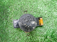 DSCN5546.JPG