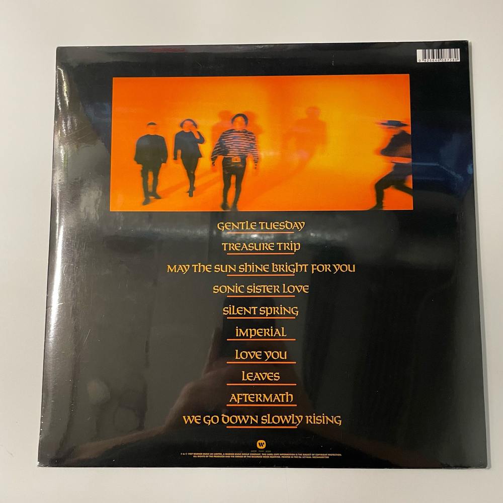 Виниловая пластинка LP Rag N Bone Man, What Do You Believe In (Европейский Союз)