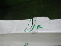 DSCN8108.jpg