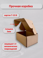 Почтовая коробка Тип Д №2 (220х165х100 мм)