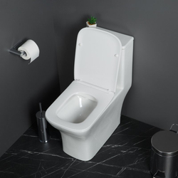 Унитаз-моноблок безободковый с сиденьем микролифт BelBagno NEON BB8617CPR-MN/SC