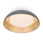 Потолочный светодиодный светильник Freya Moonlight FR5277CL-L72GR