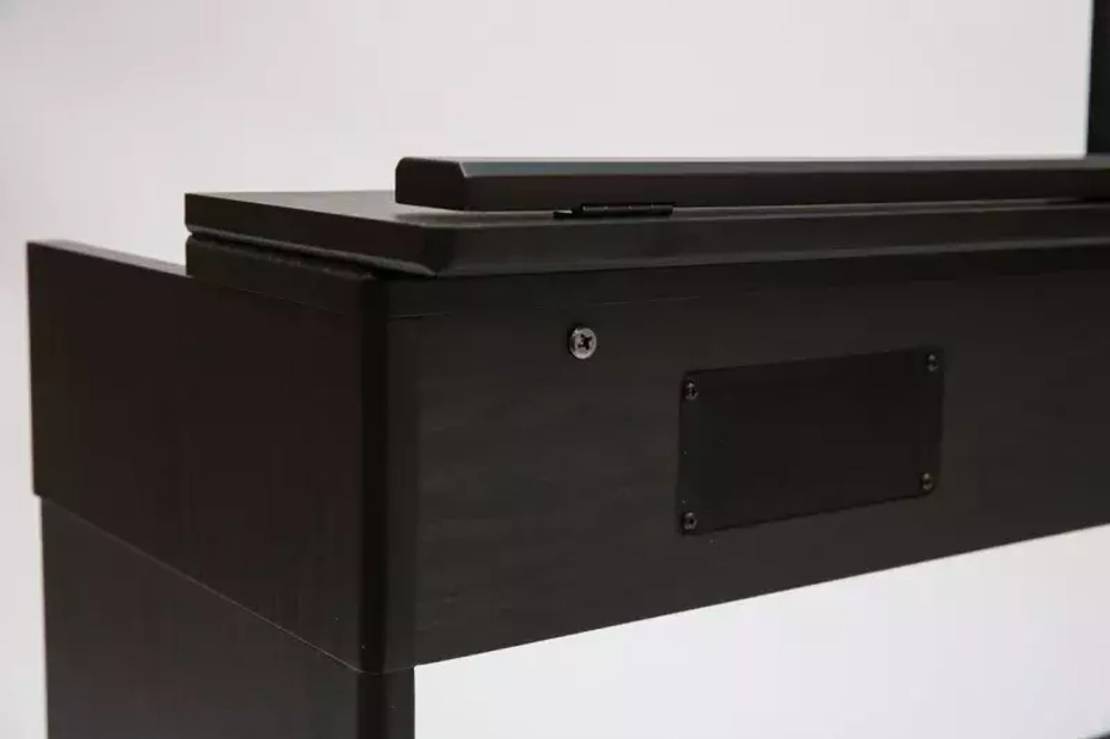 Pierre Cesar DP-12-H