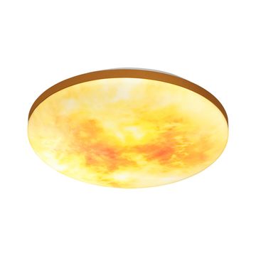 Настенно-потолочный светильник 48W 3000-6000K 7726/DLN желтый/мульти PALE Sun Sonex