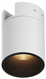 Накладной светильник Maytoni Outdoor Альфа O-TR01-2-S-16WW3K
