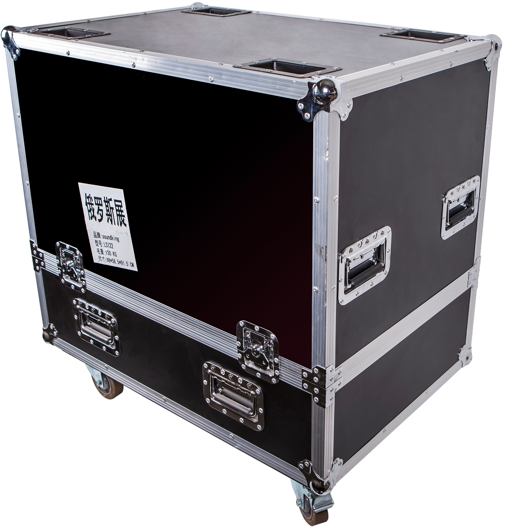 Soundking DLS122